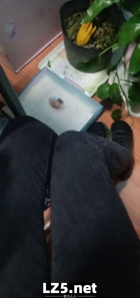 ＃反差  清纯脸蛋下藏着是经历了风雨的逼[48P]