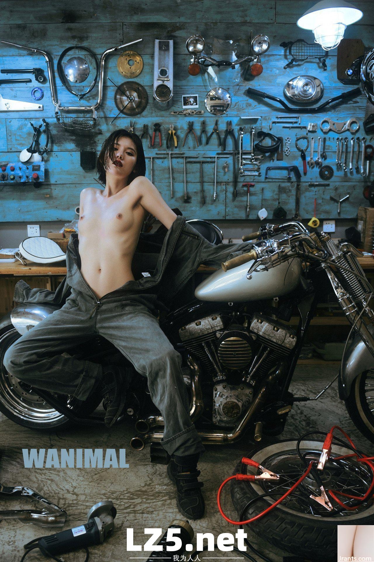 [王動作品] WANIMAL Tumblr寫真第收集(110)  (50P)